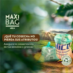 Maxibag-bolsa-para-café-grande